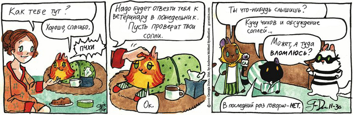    30.11.2024 , ,   (), 