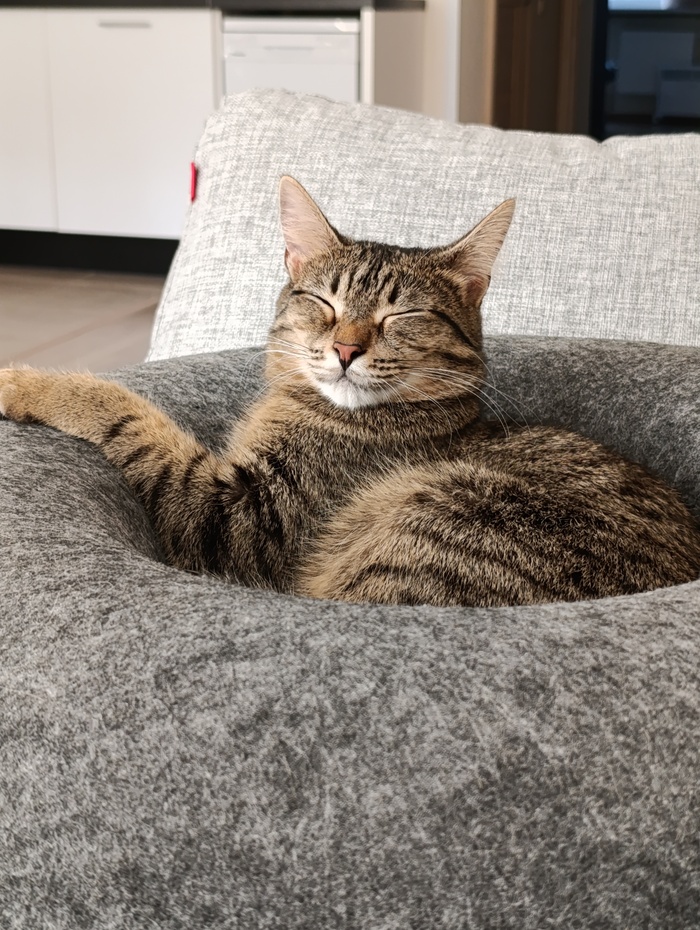 � ����� ������, � ���� ������