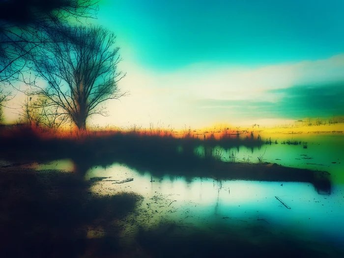 The last day of autumn - My, Mobile photography, Art, Evening, Lake, Tree, Autumn