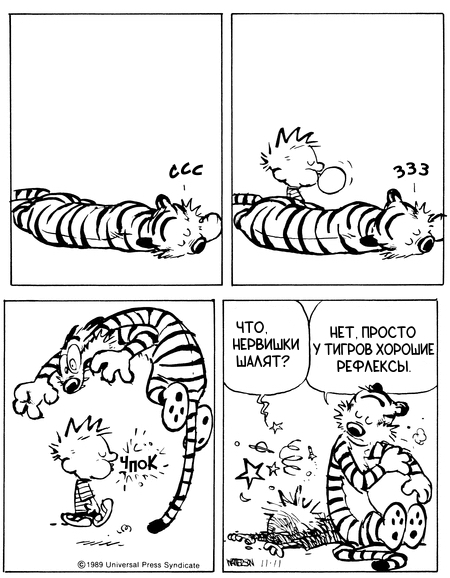 Calvin and Hobbes #288 - My, Calvin and Hobbs, Translated by myself, Comics