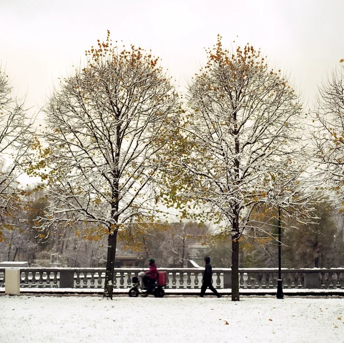 First snow - My, The photo, Film, Moscow, Medium format, Gorky Park, Museon Park, Hasselblad, Kodak, Longpost