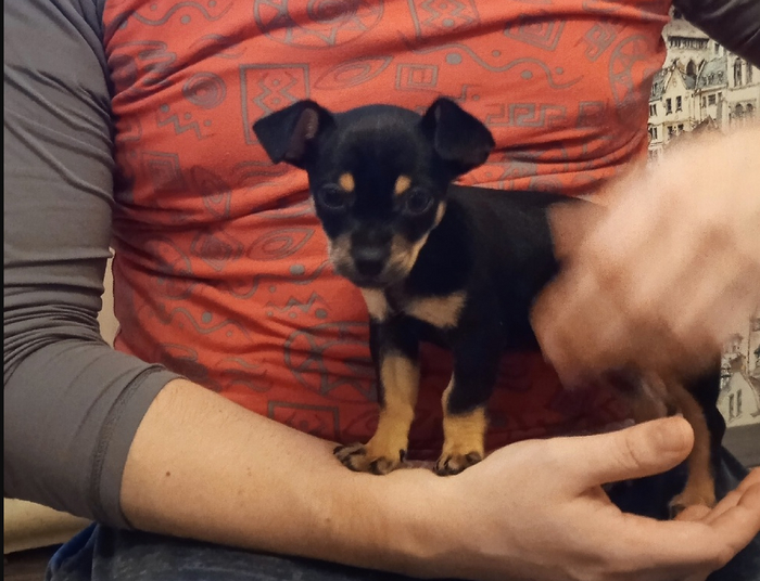 ����� NyashNeVash � ����� ������ 2024: ����� ����� ������� ����� ����!�