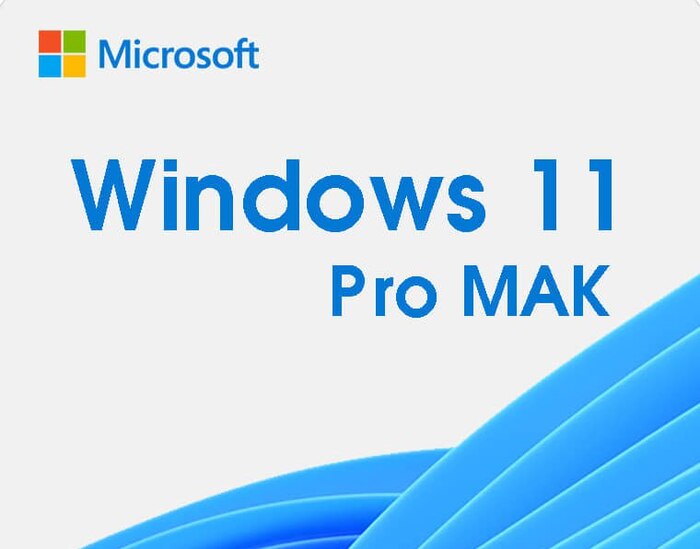Ключ Windows 10/11 Pro MAK