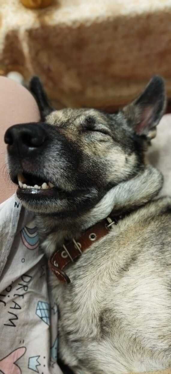 Без фильтров и макияжа)