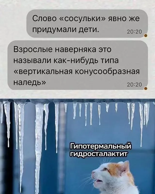 Icicles and bureaucratic jargon - Picture with text, Humor, cat, Correspondence, Telegram (link), Repeat, Screenshot, Icicles, Hardened