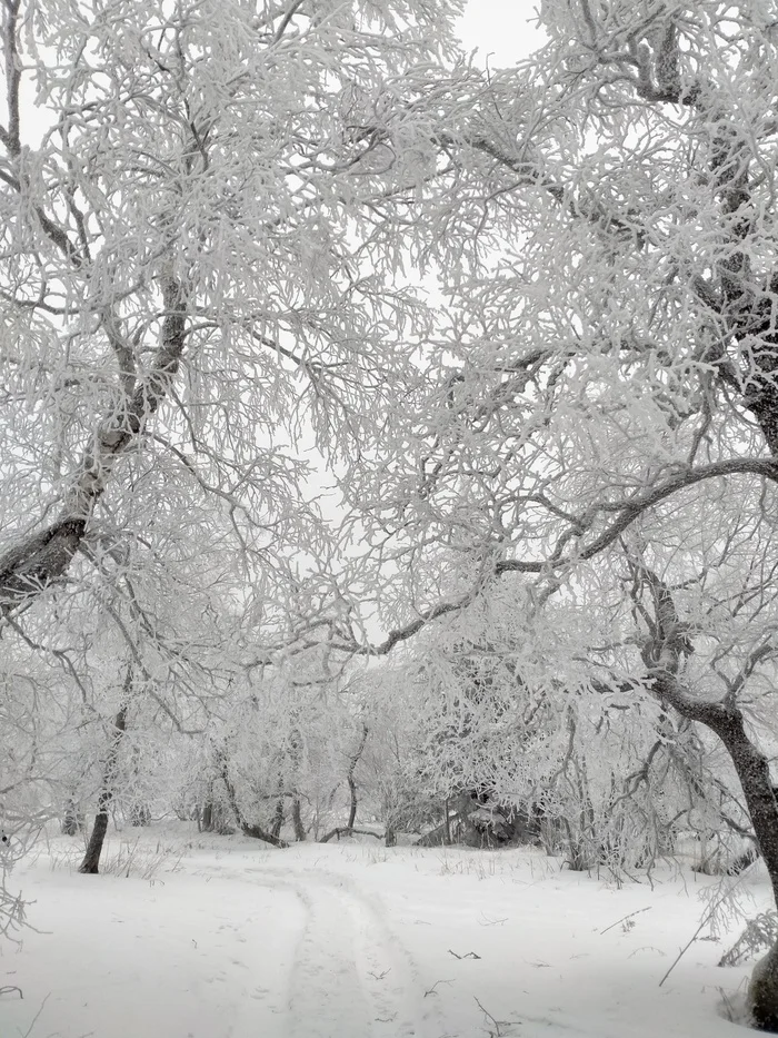 Ural beauty - My, beauty, Nature, Ural, Winter, Longpost, Urenga, Urenga Range