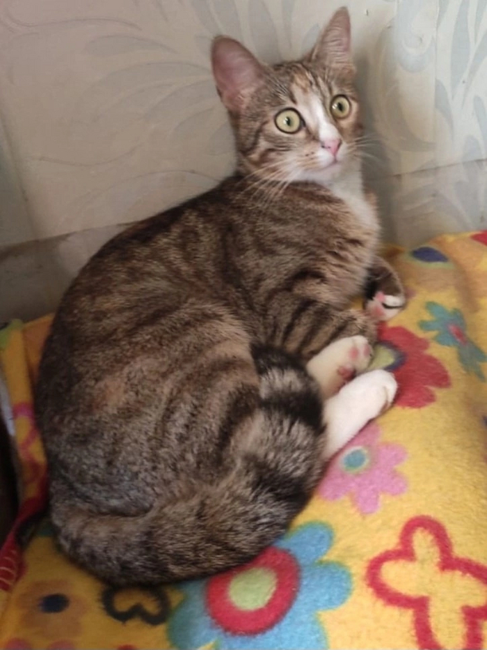 Дважды ненужная