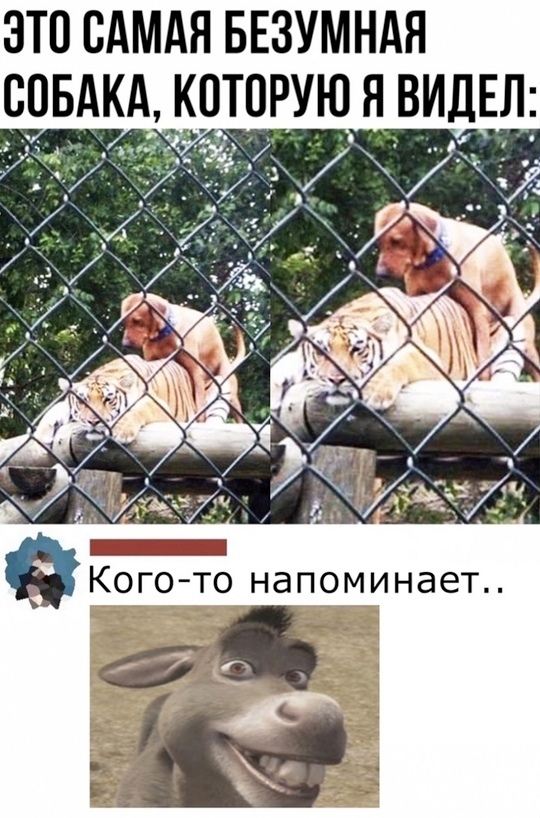    , , , , , , ,   