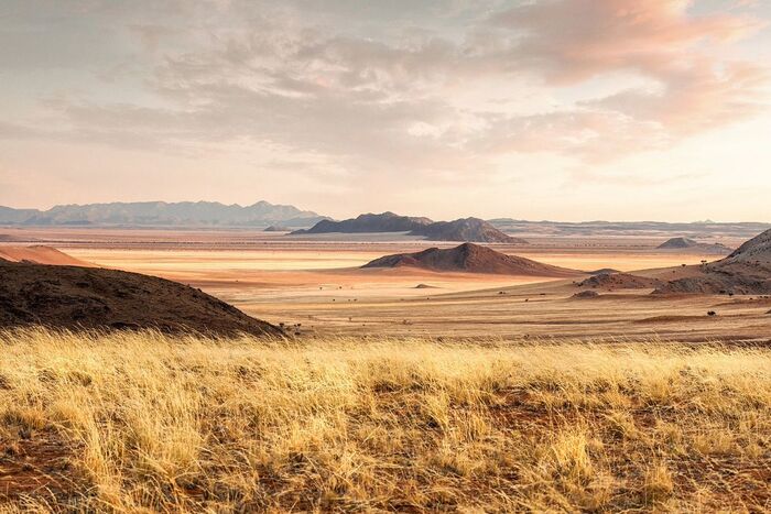 Namibia - Desert, Dunes, wildlife, Namibia, South Africa, The photo