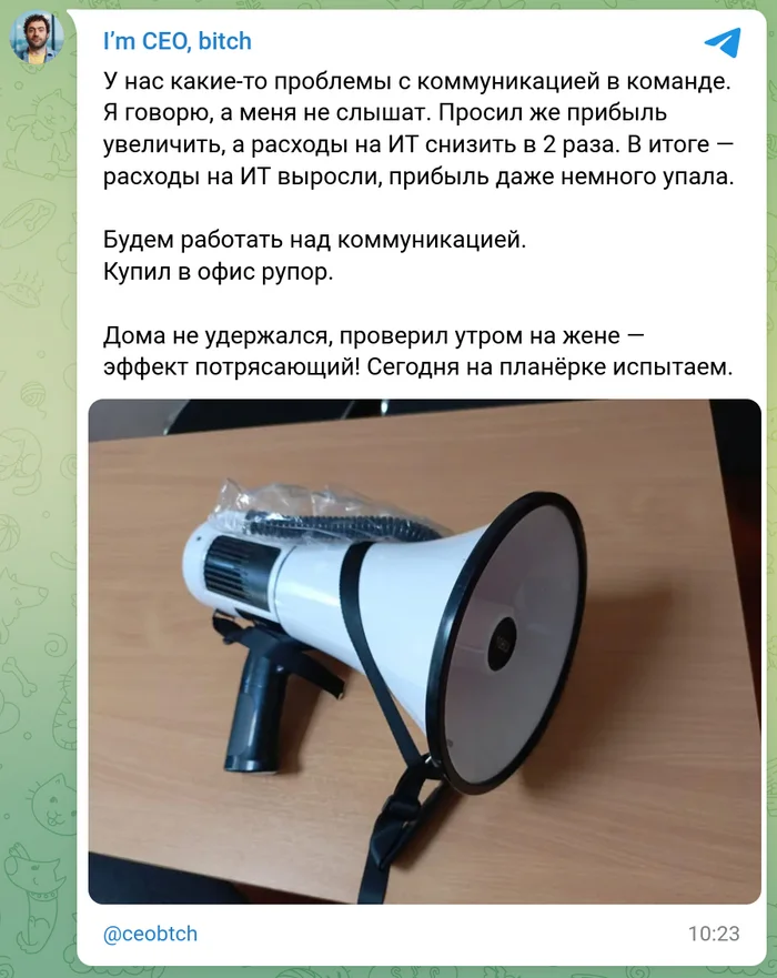 Learning to listen to guidance - My, Humor, Megaphone, Loudspeaker, Idiocy, Office weekdays, Office Stories, Professional humor, Communications, IT, Team, Unconventional approach, Director, Bosses, Screenshot