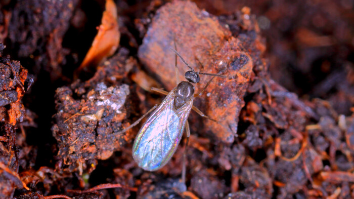 ���������� �� ��������� ����� �� 120 ������: ������ ����� �� �� ������������ �������� � ������� ���������� ������ ���������!