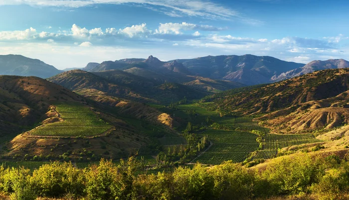 Zelenogorye. Crimea - My, Crimea, Sky, Mountain tourism, The photo, The mountains, Vineyard