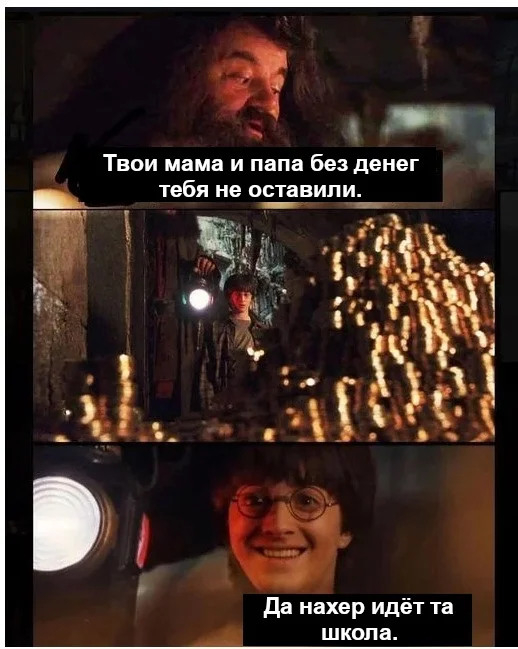 If Harry Potter were a little more lifelike - Harry Potter, Money, Hagrid, Hogwarts, Vital, Picture with text, Translated by myself, VKontakte (link)