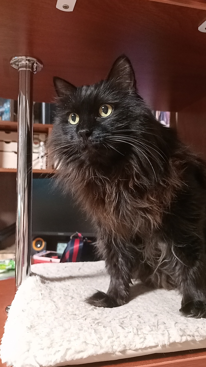 ������������ ������