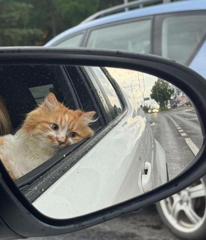 ,    ... , , , , 