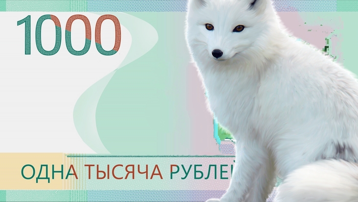 ЦБ умрёт от восторга!