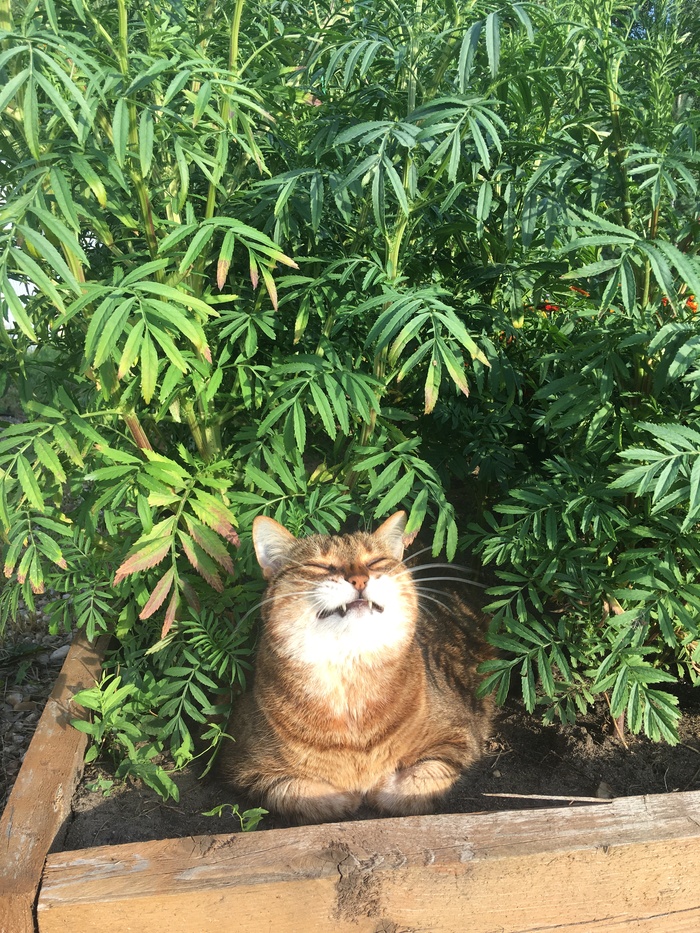 ����� �� ���� �����