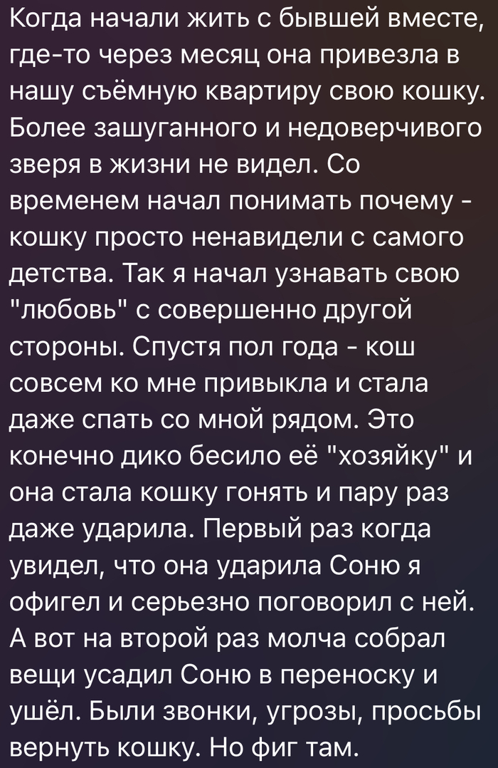 Шок! Девушка живодерка требует вернуть кота! Скандальные подробности семейной жизни Василия!