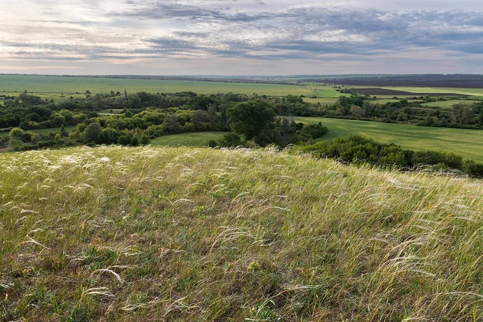 Steppe pictures - My, Feather grass, Steppe, Landscape, Rostov region, The photo