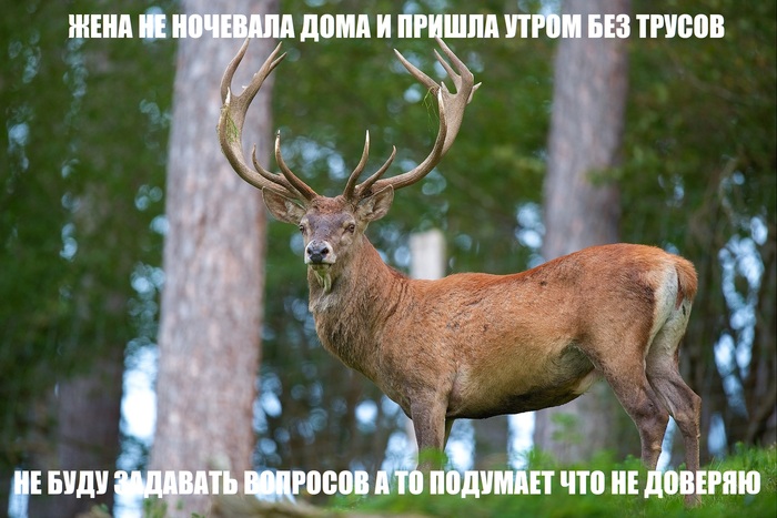 Про страх обсуждений