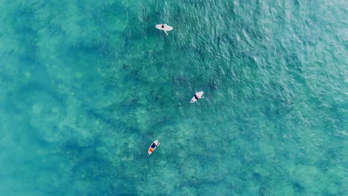 Waiting for the wave - My, Sri Lanka, Travels, The photo, Surfing, Ocean, Aerial photography, Dji, Quadcopter, Ceylon, Spot