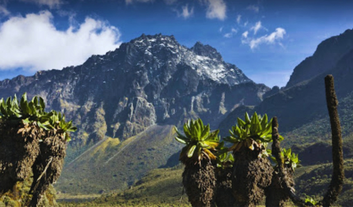 Грудь Царицы Савской (две самые высокие вершины хребта Рувензори - Маргарет и Александра)