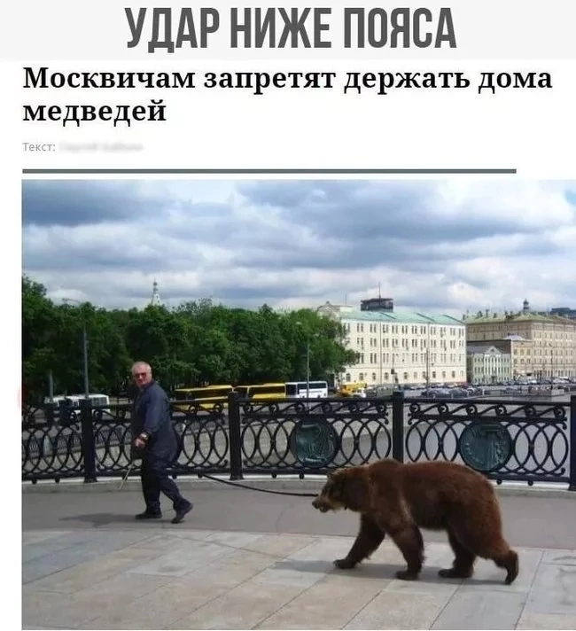 If we swallow this, they'll ban balalaikas next. - Moscow, Picture with text, The Bears, Ban, Pets, Sad humor