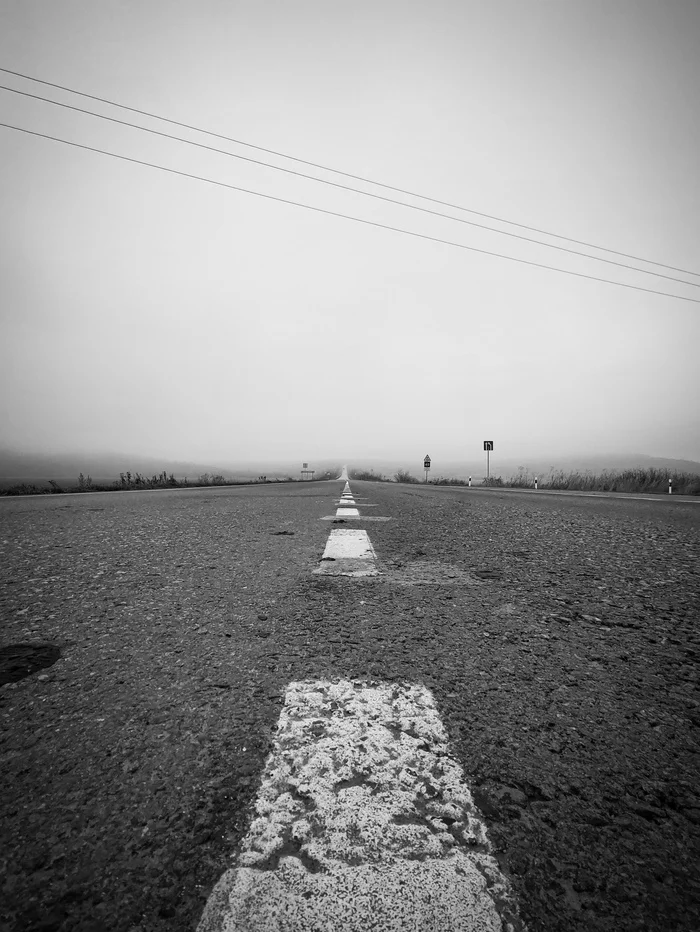 Colors of Autumn - My, Rostov region, Autumn, Black and white photo, Road, Asphalt, Markup, Longpost