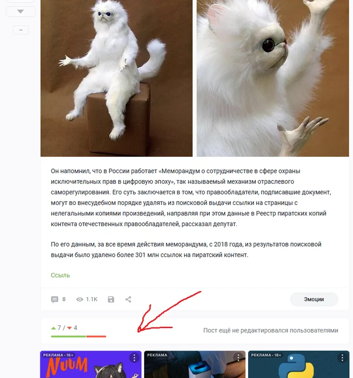 Continuation of the post Made me smile - Roskomnadzor, Politics, news, Video service, Humor, Russia, Pirates, GIF, Longpost, Reply to post