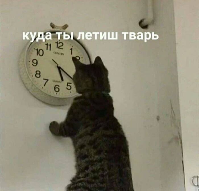 Уже зима...