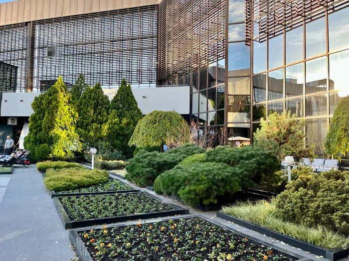 Green courtyard at Sochi airport - sights, Architecture, Urbanism, Beautification, Russia, Longpost