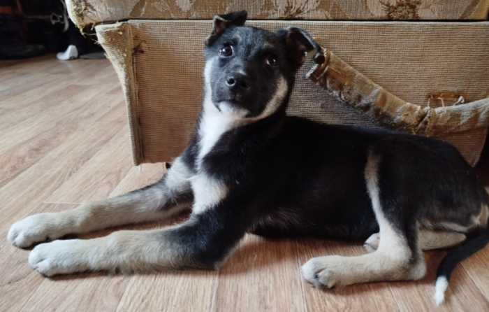 ����� � ����� �����