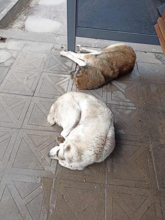 Это же какими навыками выживания нужно обладать??