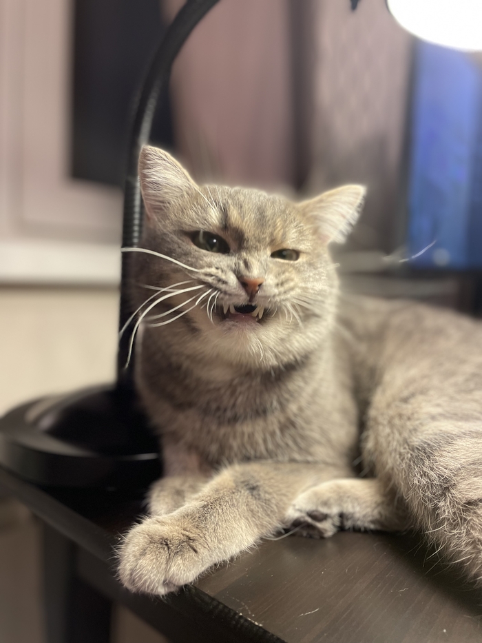 Ответ на пост «Ыы…»