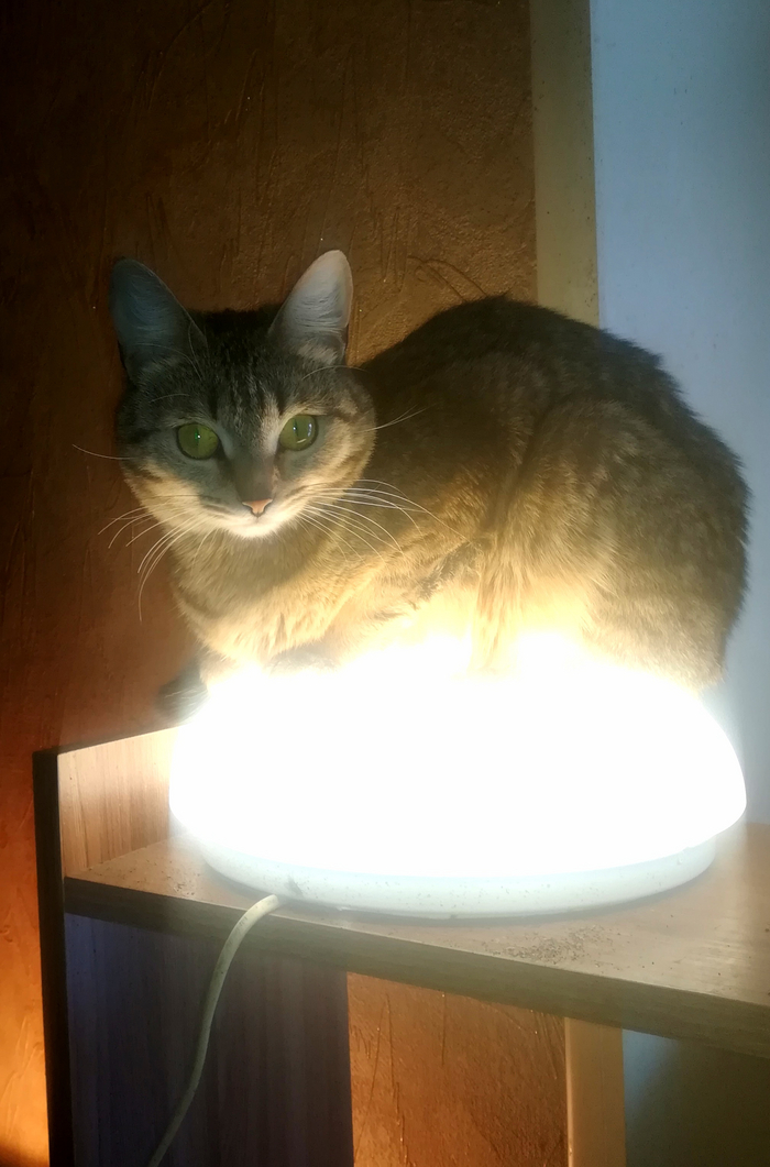 ����� user6019237 � ���������� ������ � ���� - ��� ����