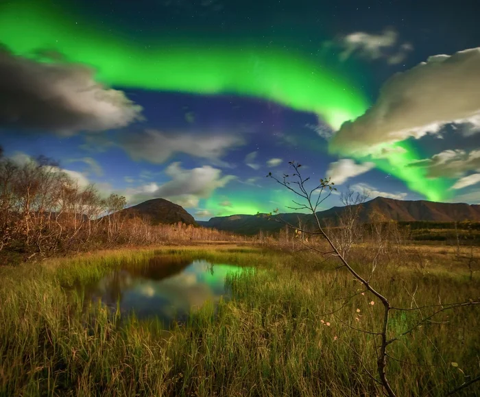 Northern Lights on an Autumn Night - wildlife, Far North, Polar Lights, Beautiful view, Landscape, beauty, Lake, Kola Peninsula, Murmansk region, The photo, Night, Autumn