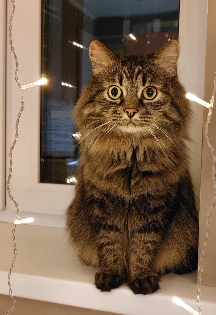 Праздника хочется