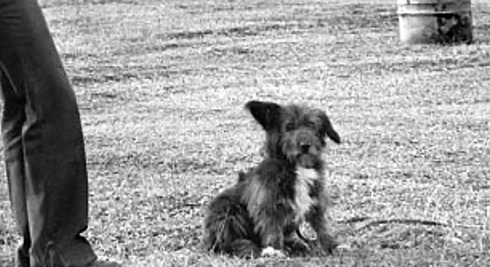 Как снимали фильм Мимино... Факты и кадры Фото со съемок, Советское кино, Классика, Ностальгия, Советские актеры, Яндекс Дзен (ссылка), Георгий Данелия, Длиннопост