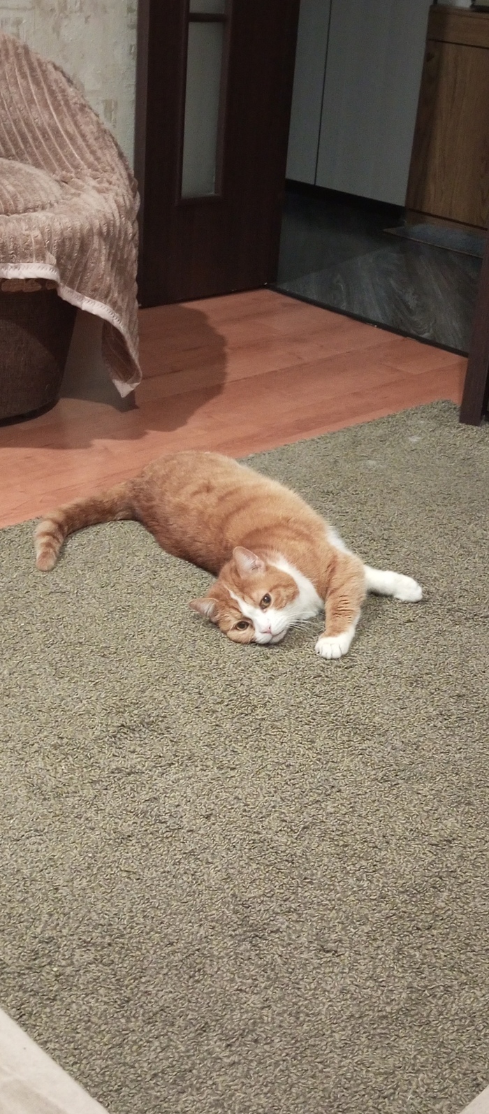 ������� �����.