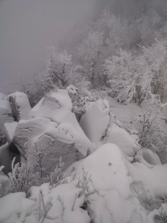 Следы четвероногого альпиниста