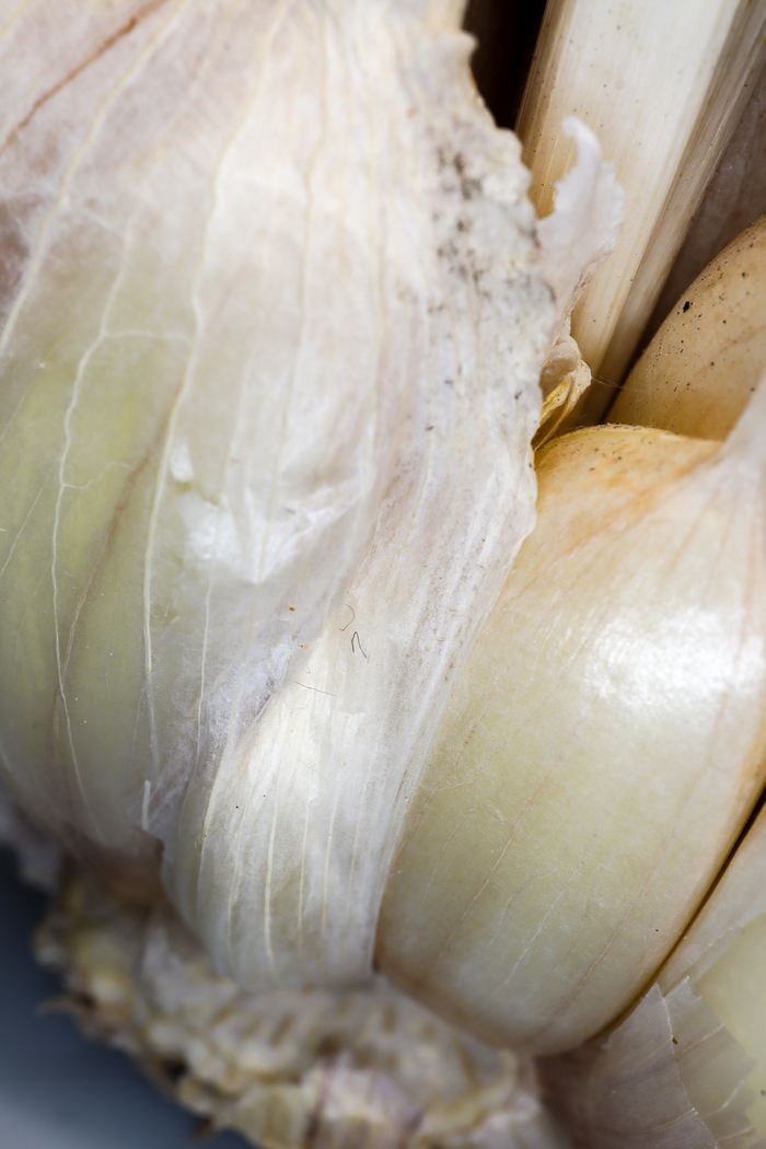 Тонкие чешуйки