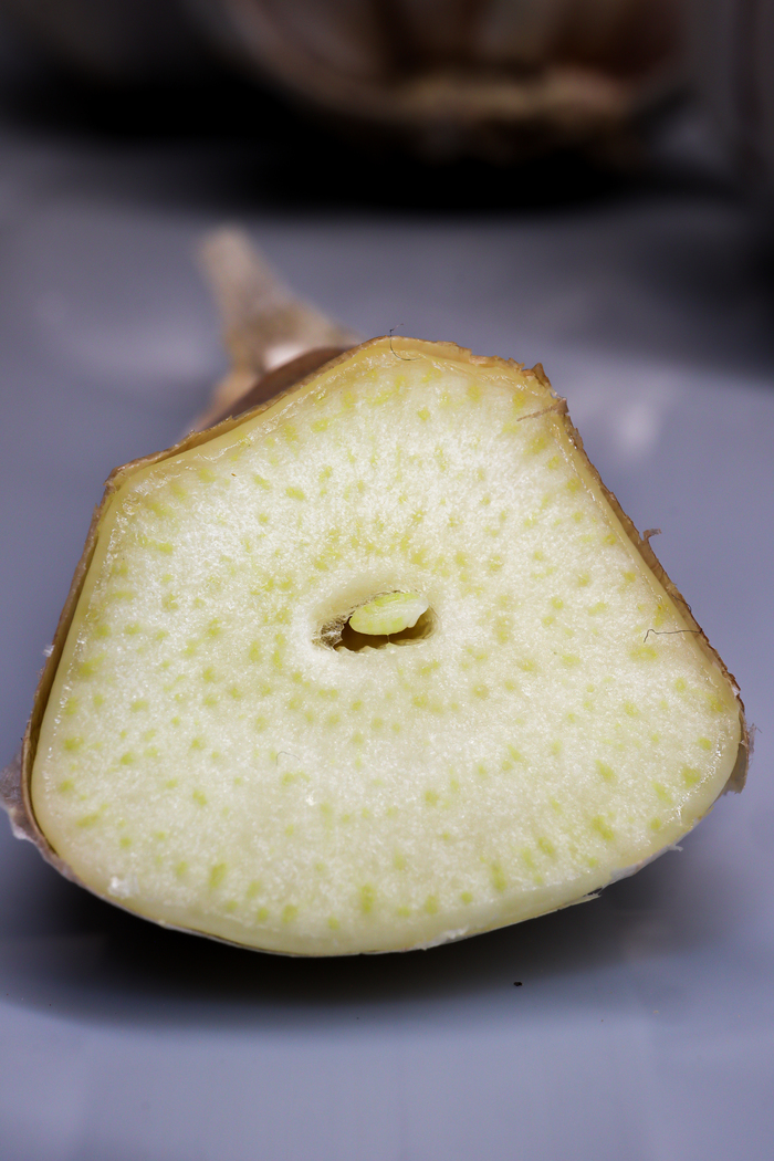 Странные пятна