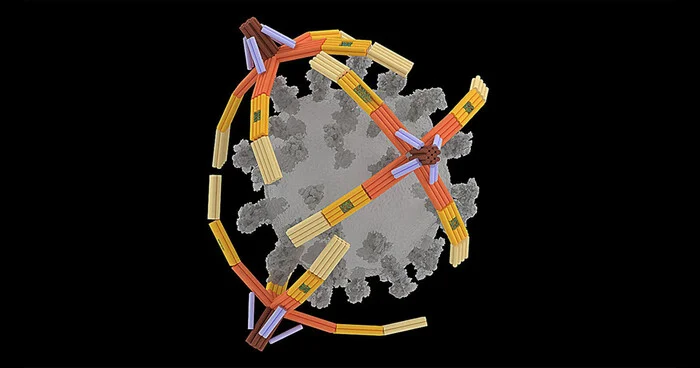 Исследователи из Иллинойсского университета создали уникального наноробота из ДНК, способного захватывать вирусы - Исследования, Ученые, Биология, Наука, ДНК
