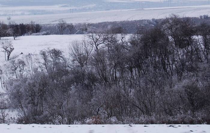 Reality - My, Nature, Landscape, Winter, Snow