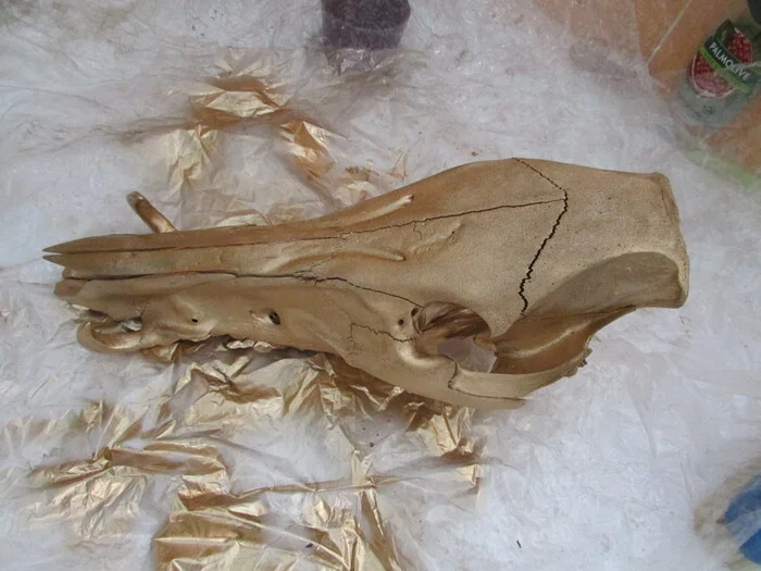 About the Bronze Boar - My, Needlework with process, Scull, Boar, Longpost