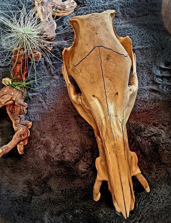 About the Bronze Boar - My, Needlework with process, Scull, Boar, Longpost