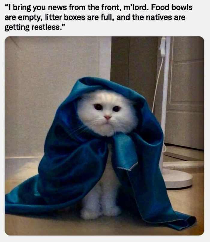  , ,   