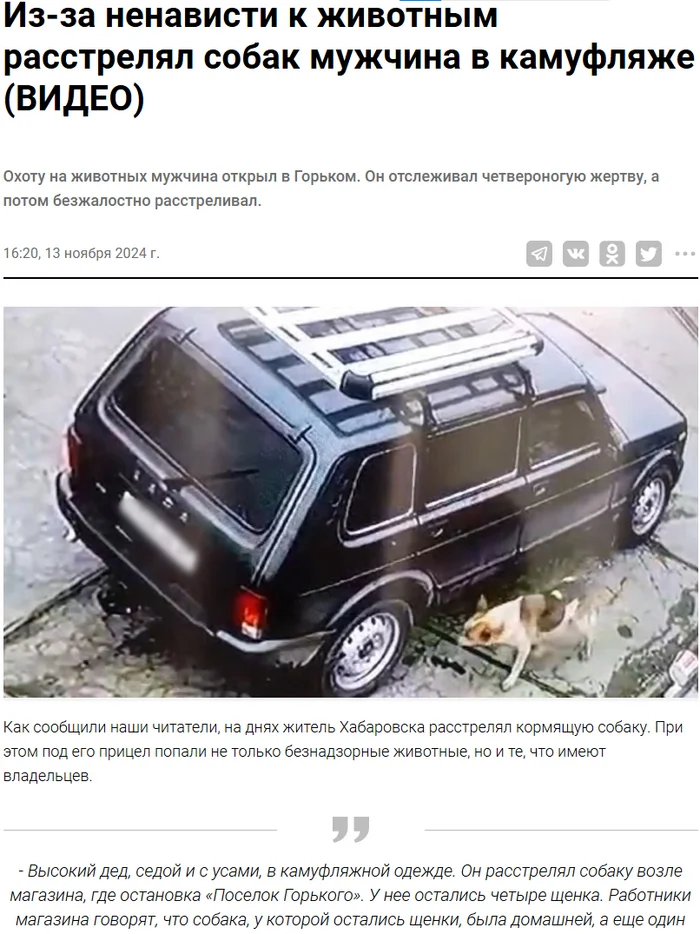 Shooting of dogs - Stray dogs, Dog attack, Khabarovsk, Screenshot, news, Catching, Dog, Shooting, Video