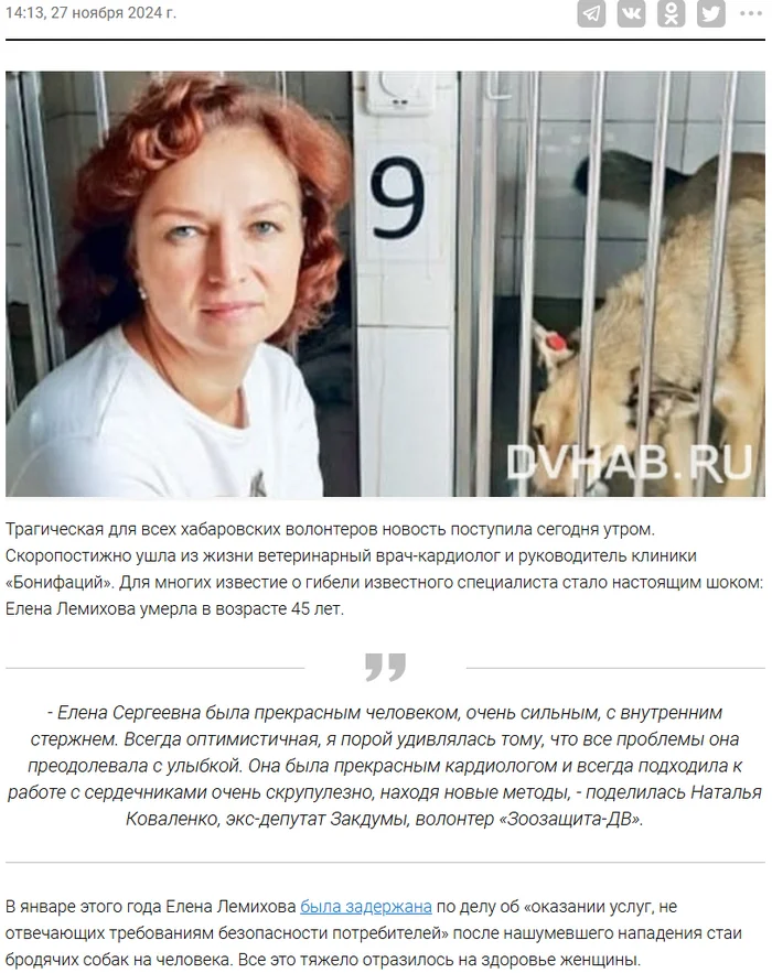 Big Loss: Renowned Veterinarian and Animal Rights Activist Dies - Stray dogs, Dog attack, Khabarovsk, Screenshot, news, Catching, Dog, Veterinary