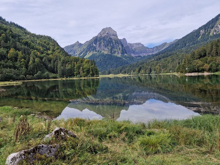 Захватывает дух! Там прям как в рекламе шоколадок Милка - коровки пасутся на альпийских лугах.